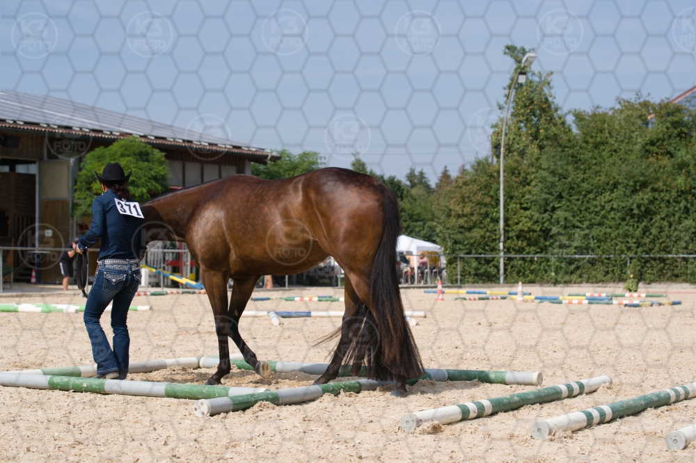 s_batch_A9_00051.jpg